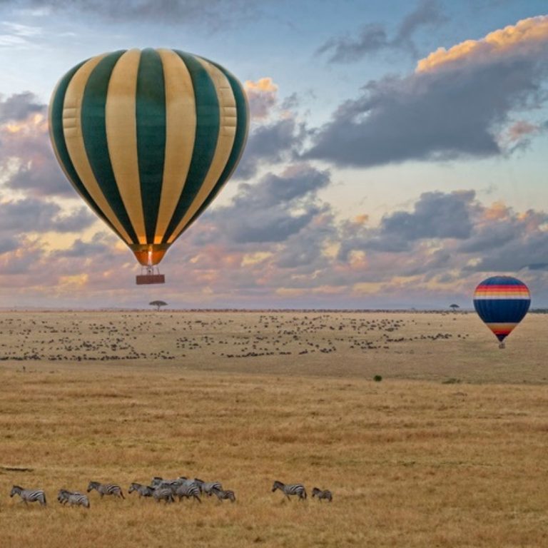 Hot air balloons Great Migration