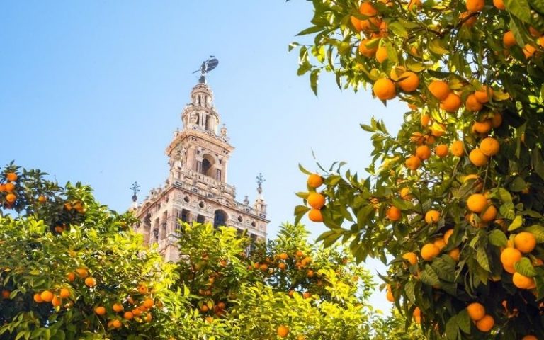 Flavorful Andalucia - Curated Travel Package, By Art In Voyage