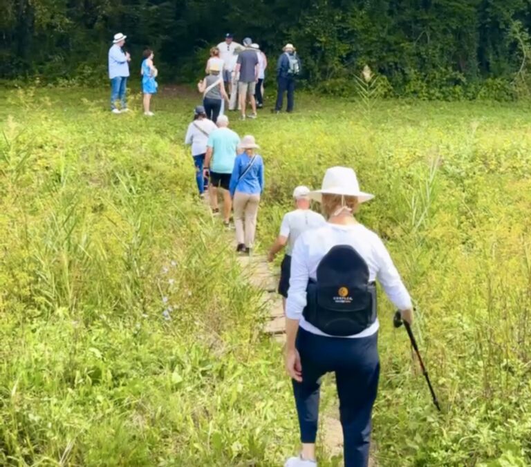 Private Yacht Sailing to Croatia, with Art In Voyage