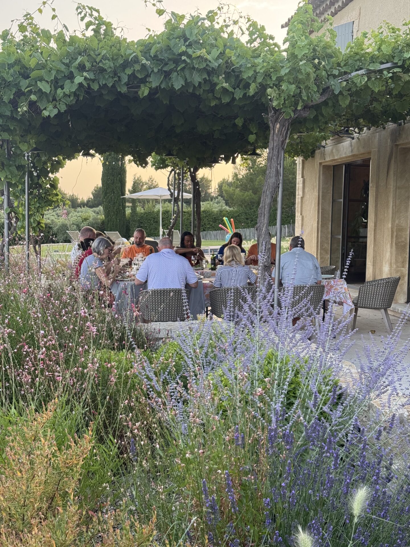 Taste of Provence with Art In Voyage