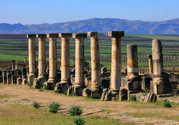 Meknes Winery Day Tour