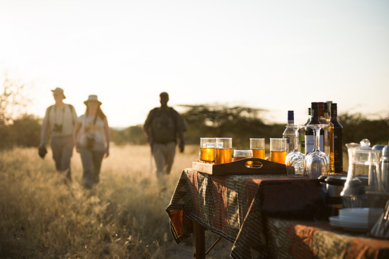 Capturing the Great Migration - Oliver's Camp in Tarangire. Join Art In Voyage.