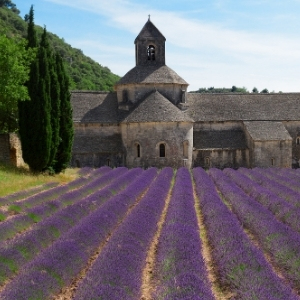 A Taste Of Provence