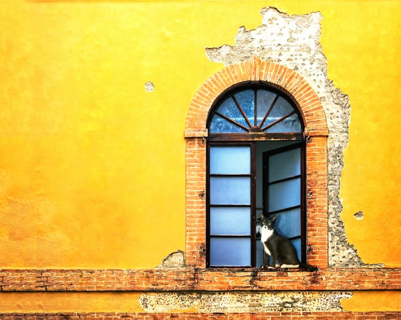 Siena, by Art In Voyage