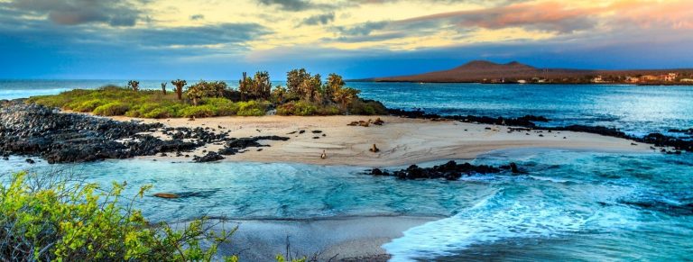 The Galapagos Islands A Private Expedition