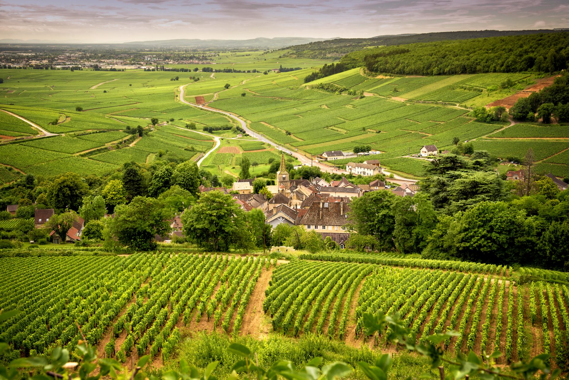 Luxury Burgundy, France by Art In Voyage