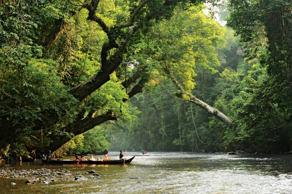 Taman Negara - Kuala Lumpur