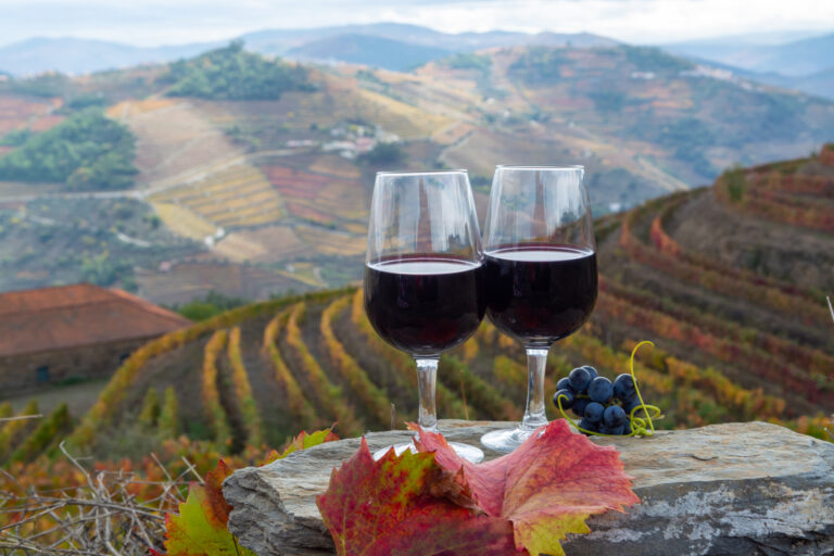 Douro, Portugal By Art In Voyage