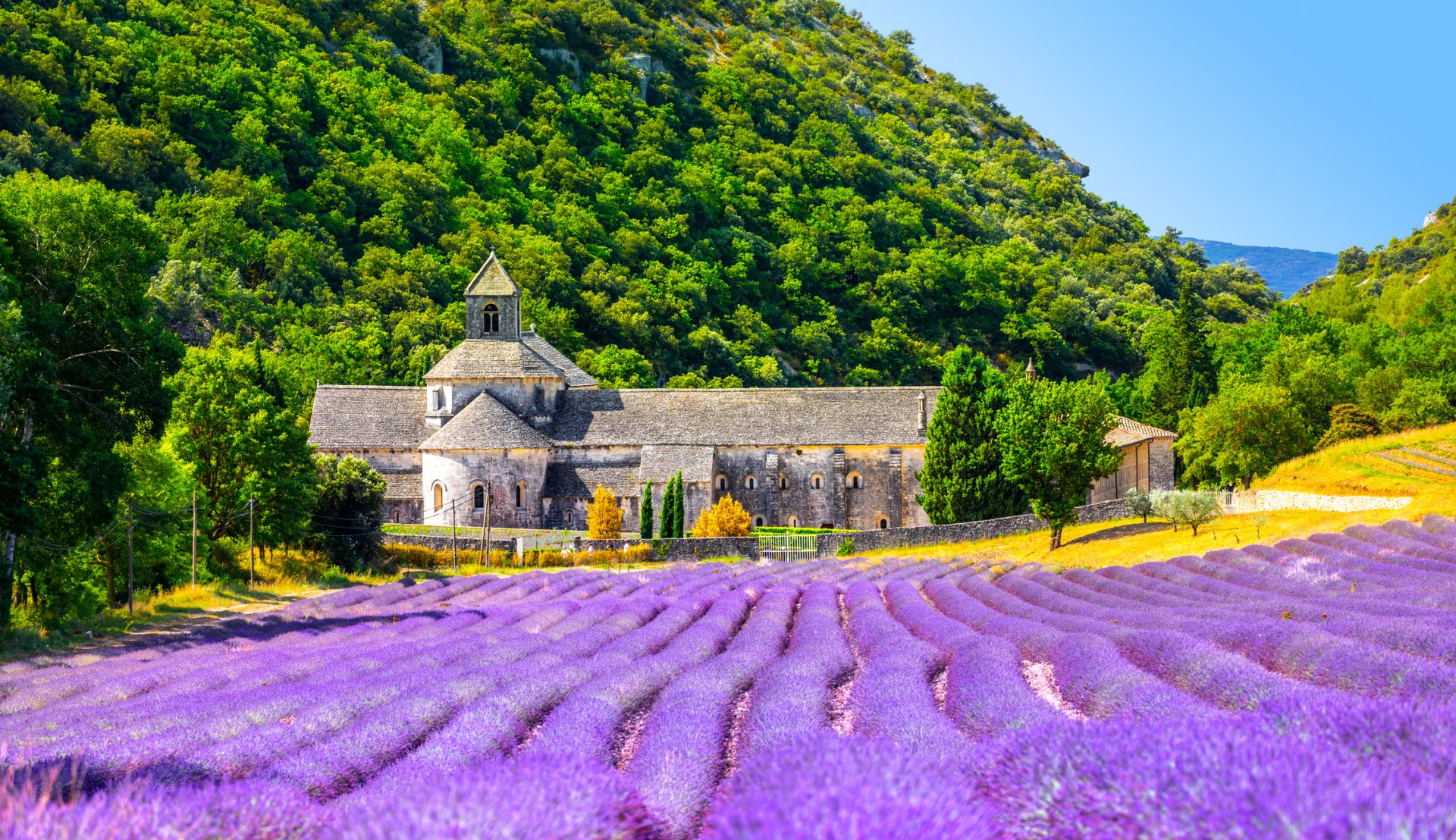 Provence By Art In Voyage