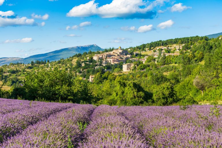 Provence By Art In Voyage