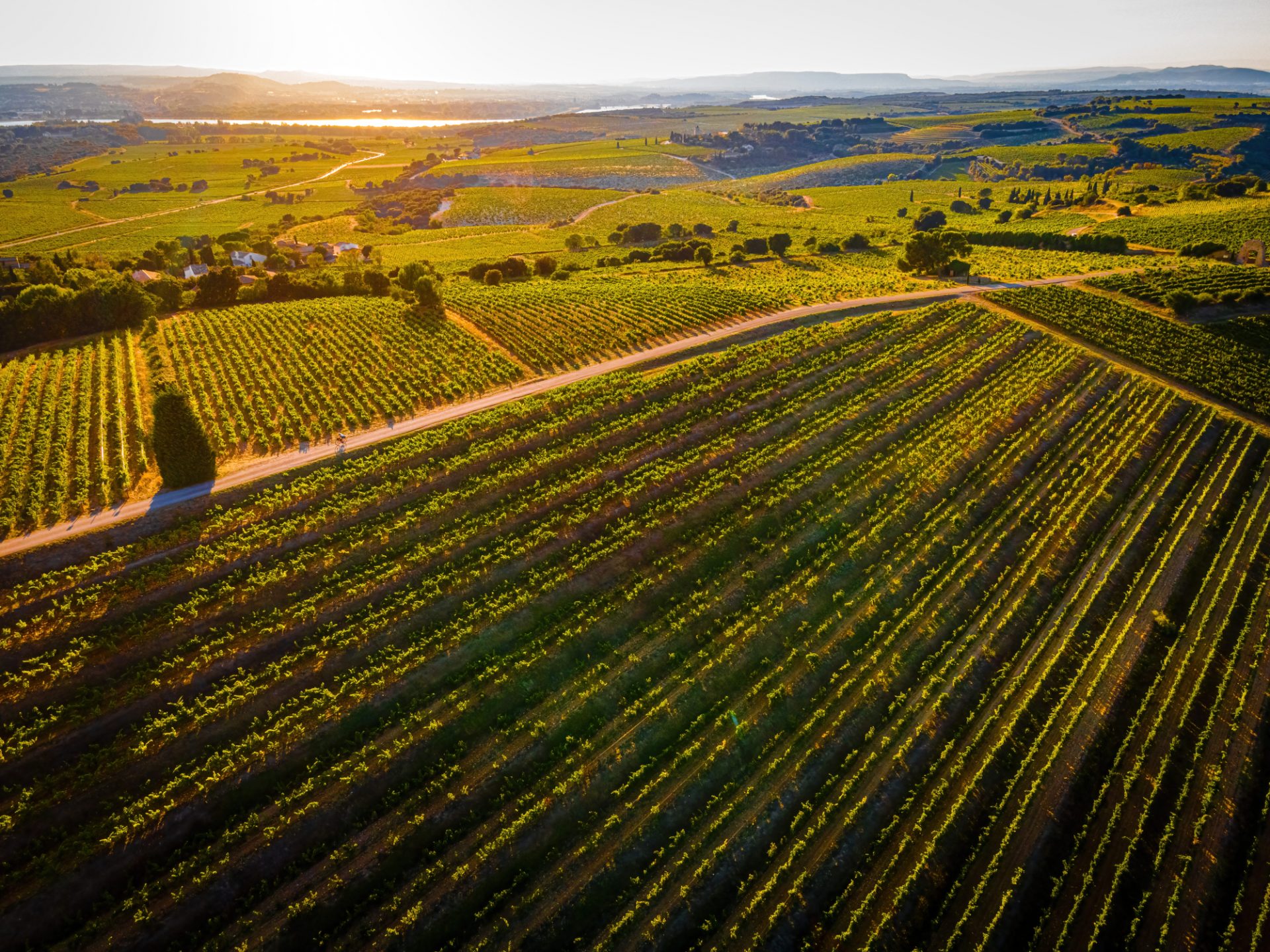 Provence By Art In Voyage