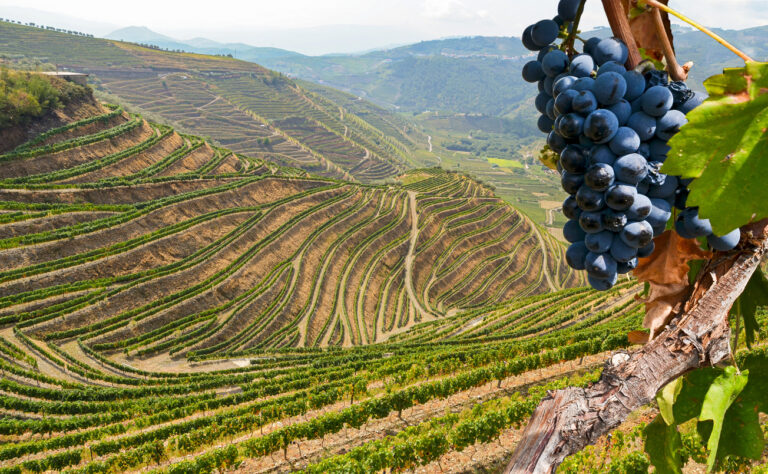 Douro, Portugal By Art In Voyage