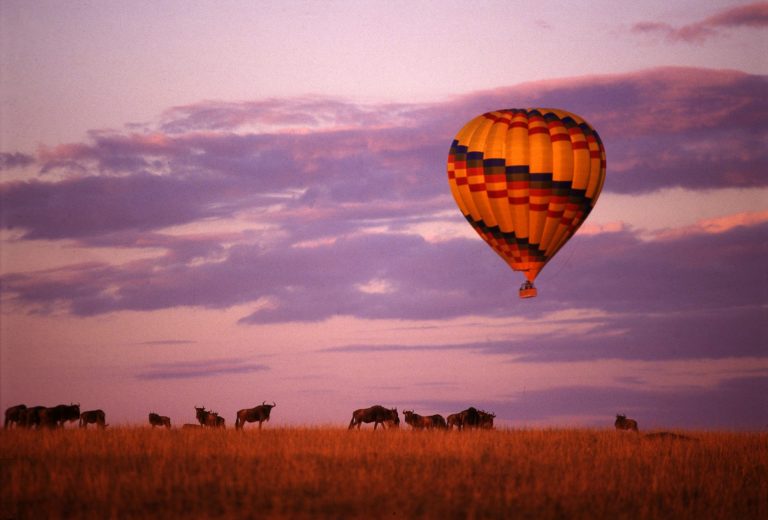 Masai Mara Safari By Art In Voyage