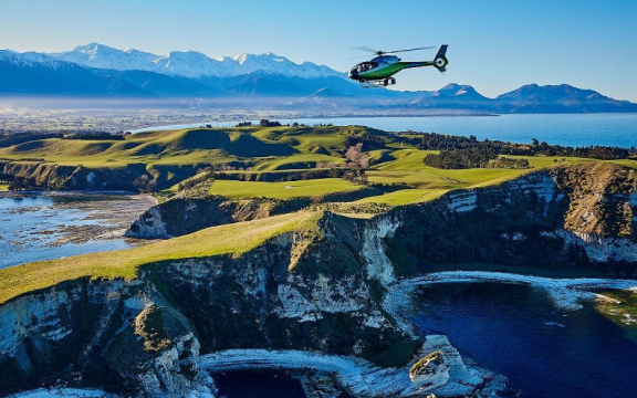 Kaikoura's Sea Safari