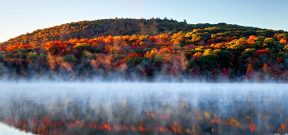 Fall Foliage, by Art In Voyage