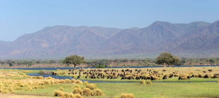 Mana Pools National Park, African Safari, By Art in Voyage