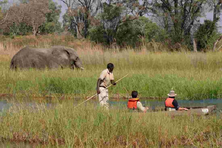 African Safari, by Art In Voyage