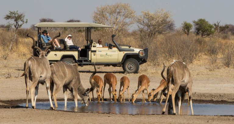 Central Kalahari Game Reserve, African Safari, By Art in Voyage